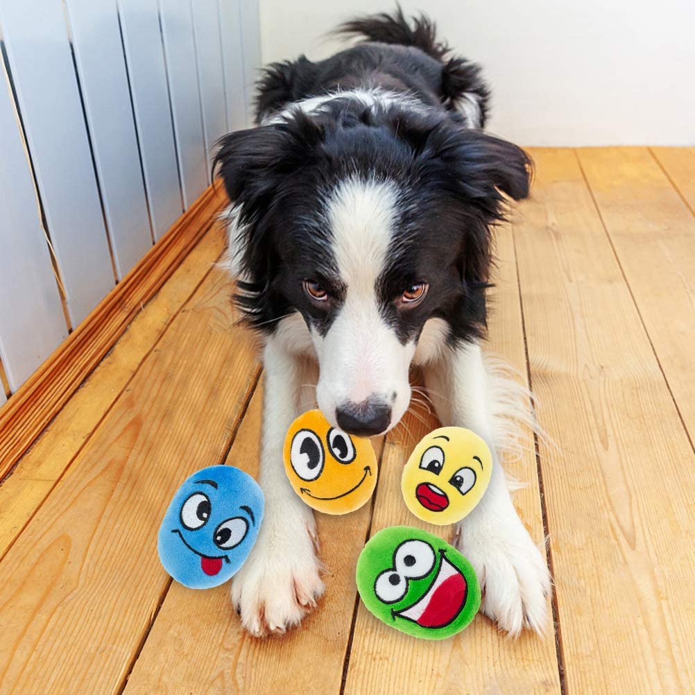 Hide and Seek Dog Toy