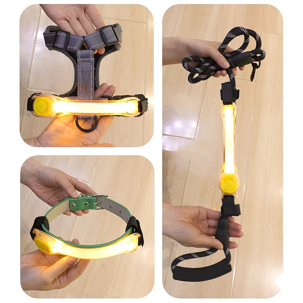 Light Up Dog Collar