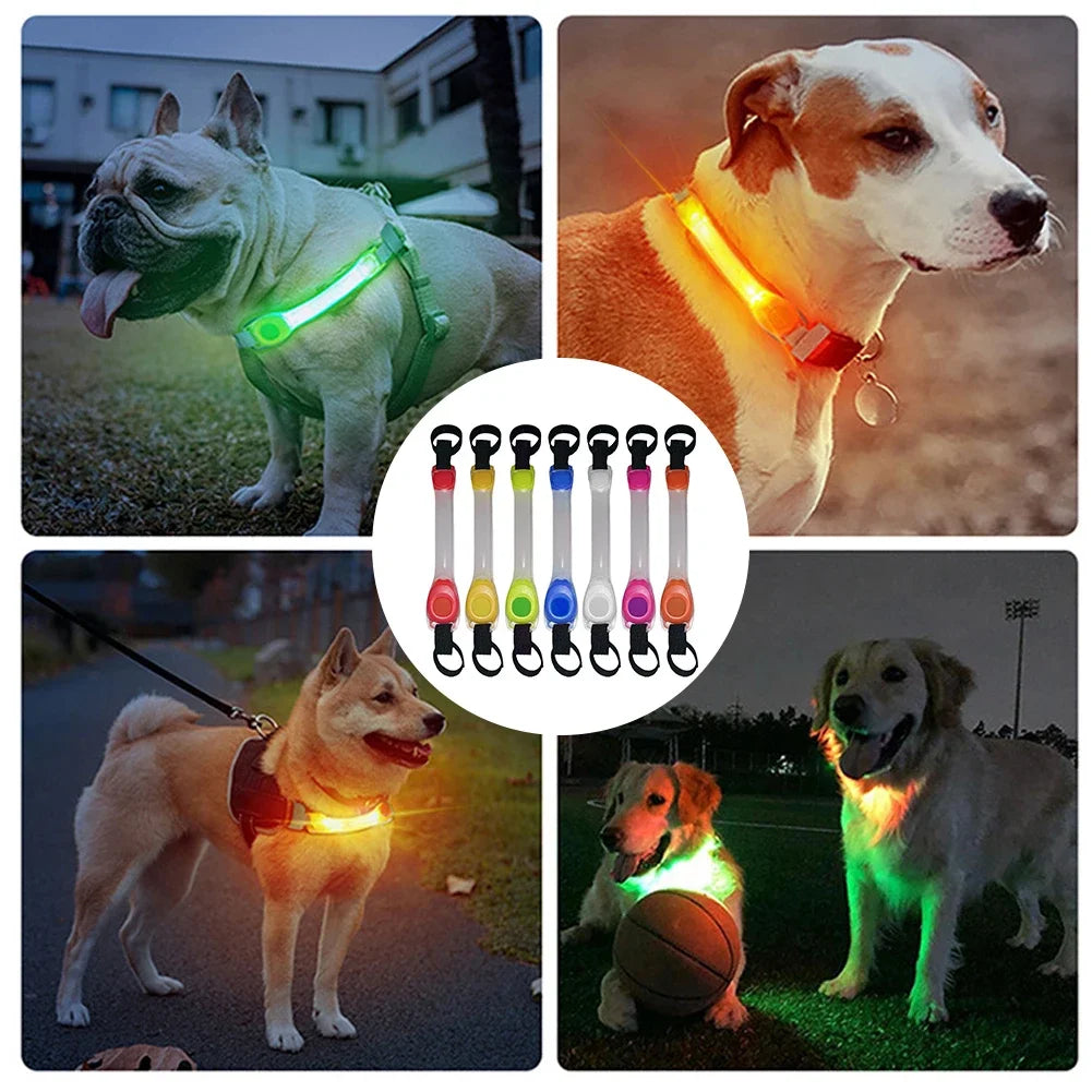Light Up Dog Collar