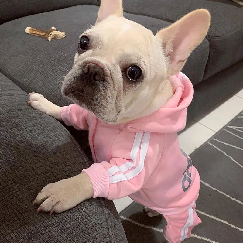 Adidog Sweat Set