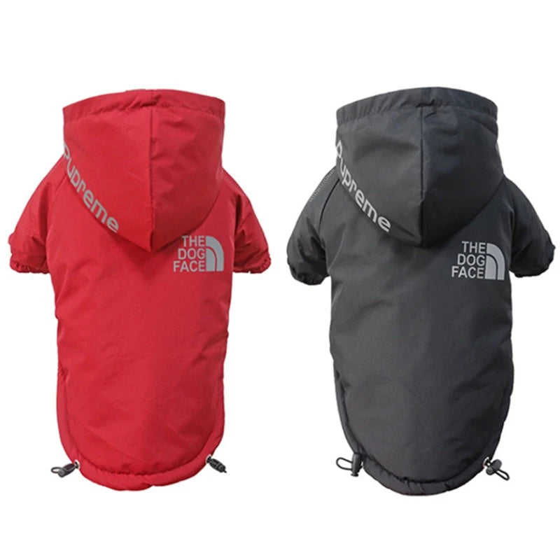 "The Dog Face" Raincoat