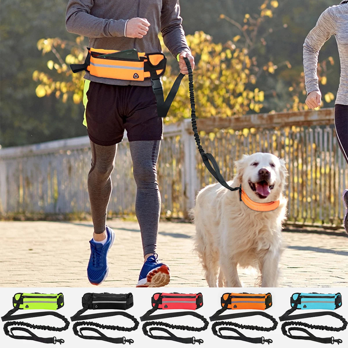 Hands Free Dog Leash