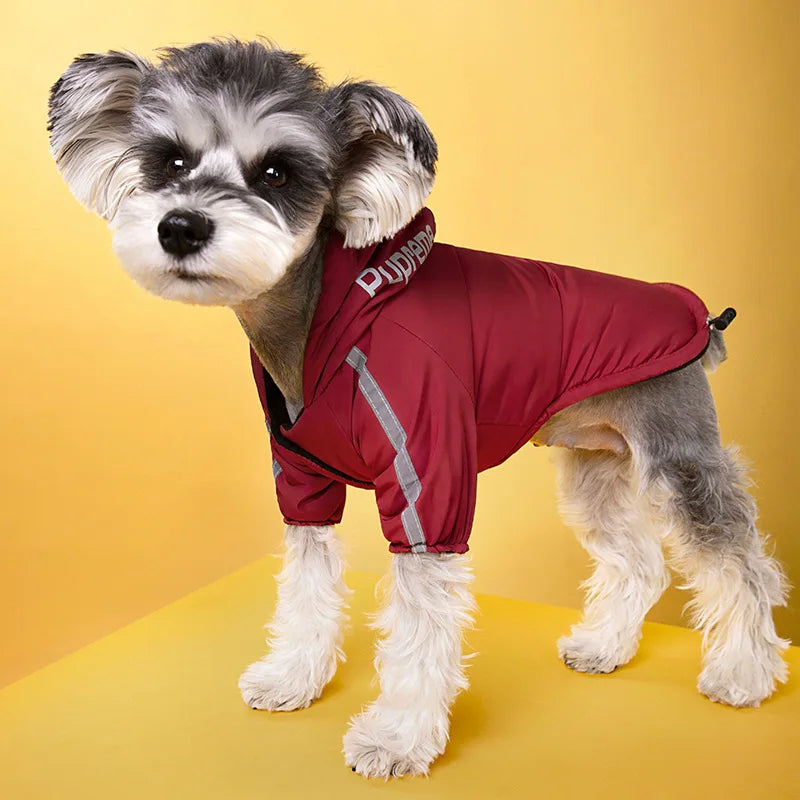 "The Dog Face" Raincoat