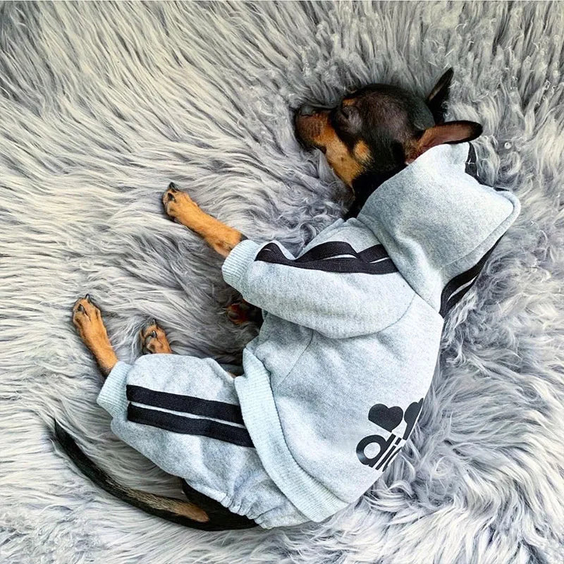 Adidog Sweat Set