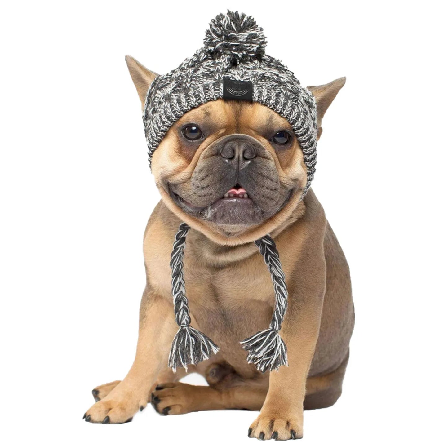 Dog Knitted Hat