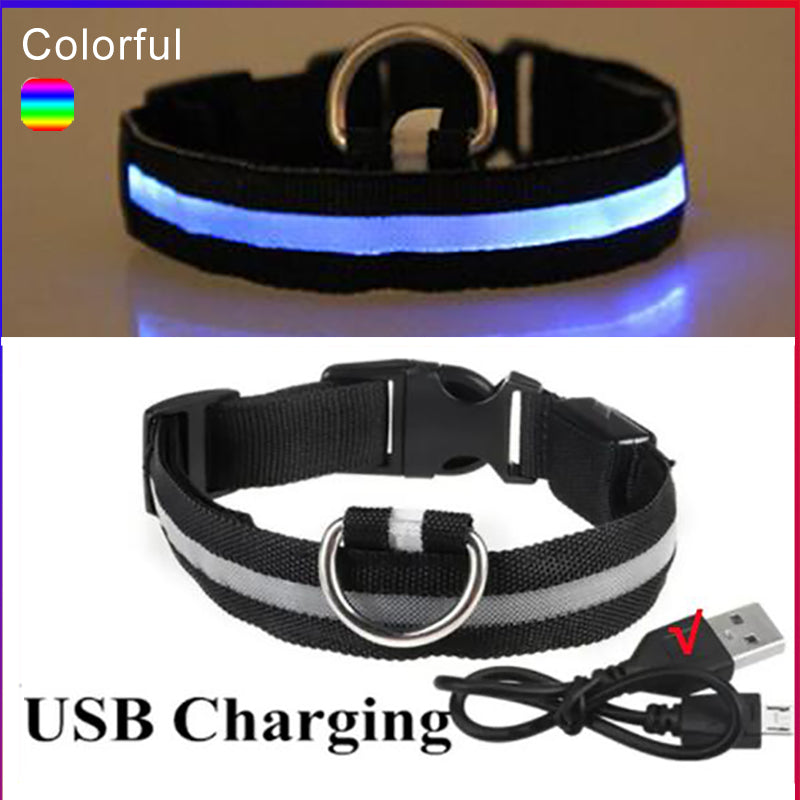 LED Dog Collar
