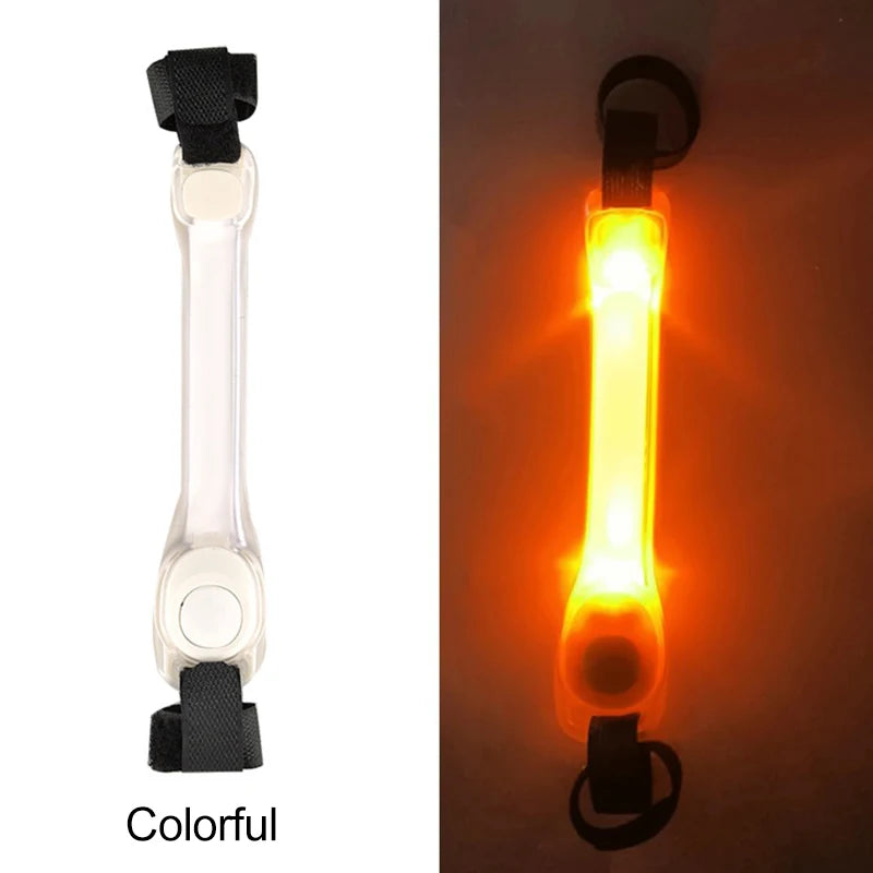 Light Up Dog Collar