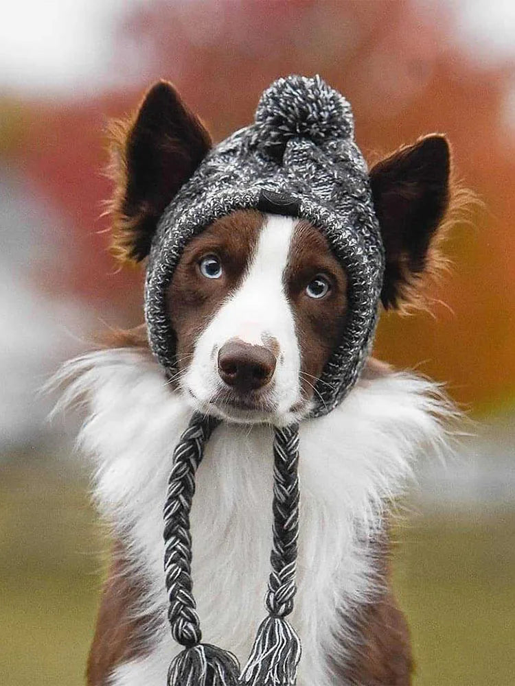 Dog Knitted Hat