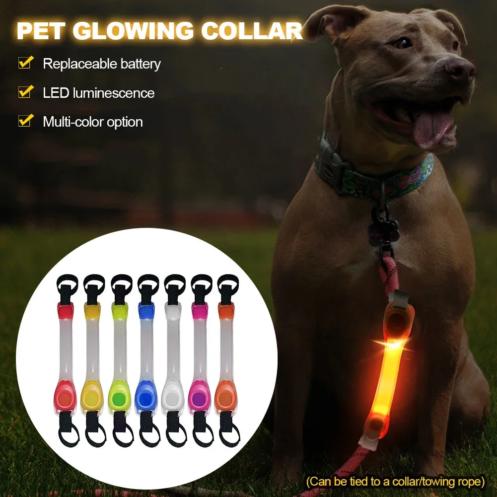 Light Up Dog Collar