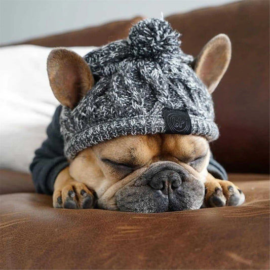 Dog Knitted Hat