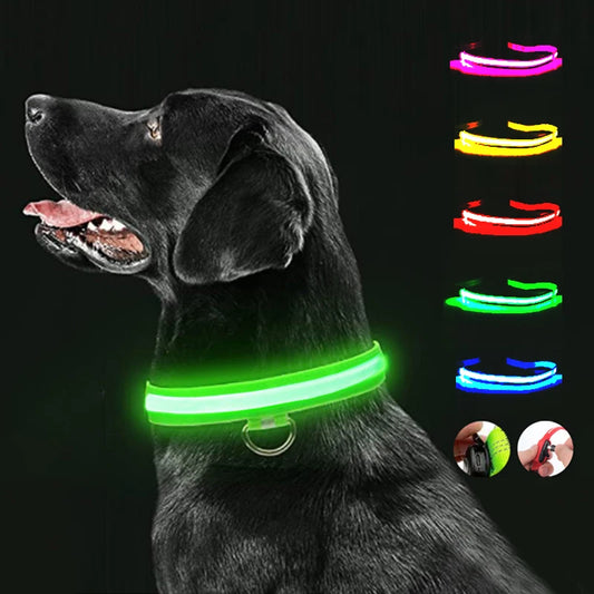 LED Dog Collar