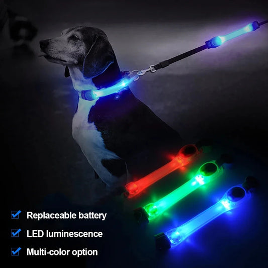 Light Up Dog Collar