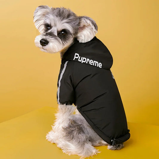 "The Dog Face" Raincoat
