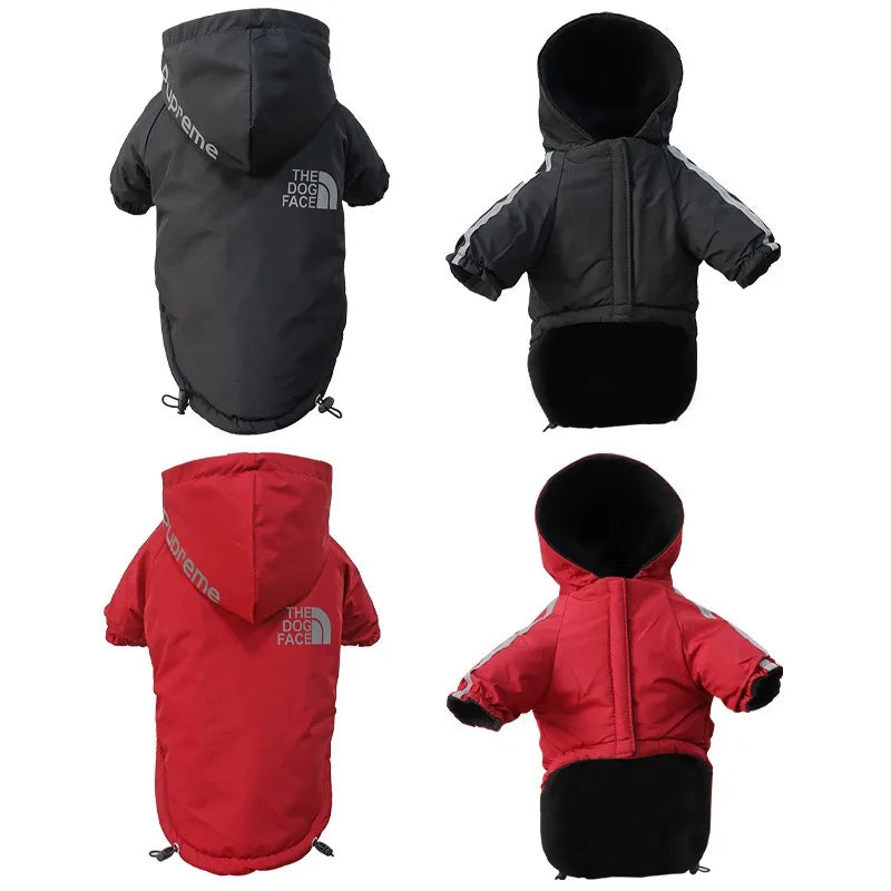 "The Dog Face" Raincoat