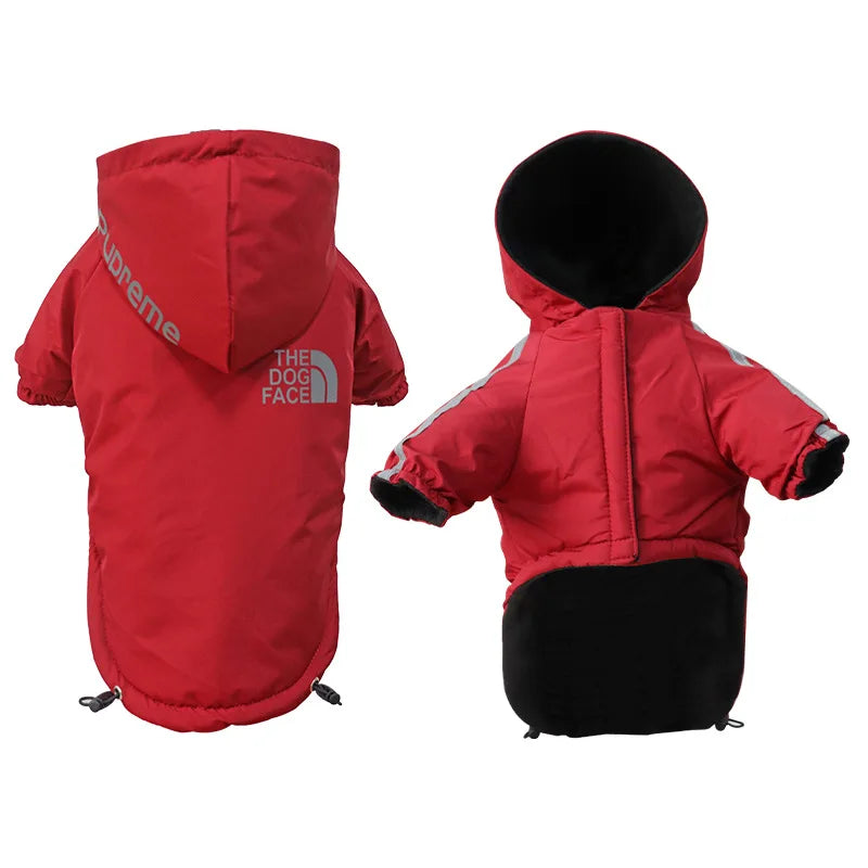 "The Dog Face" Raincoat