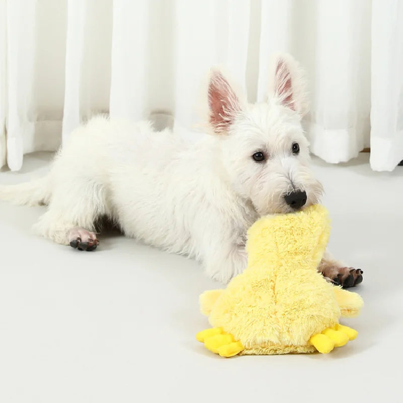 Duck Squeaky Toy