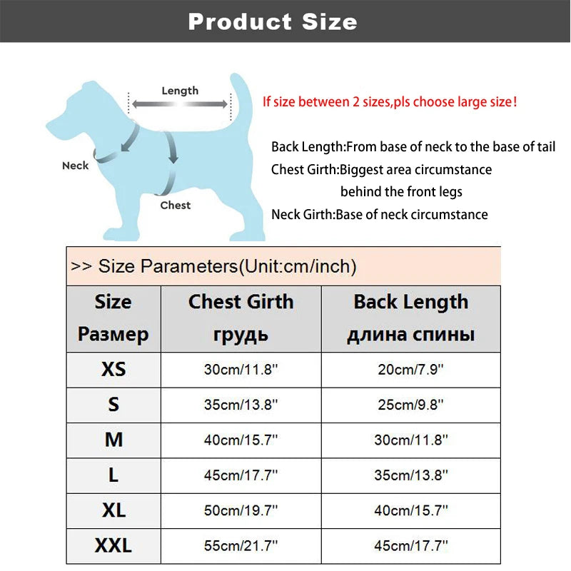 Adidog Sweat Set