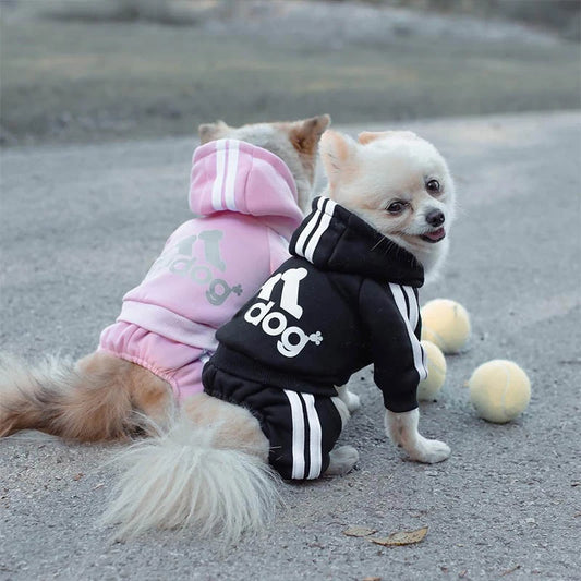 Adidog Sweat Set
